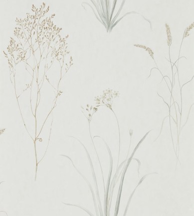 Sanderson Farne Grasses Silver/Ivory tapéta