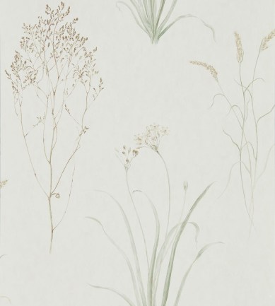 Sanderson Farne Grasses Willow/Pebble tapéta