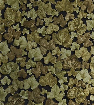 Zoffany Ivy Leaf Ebony, Bronze tapéta - Paisley Home