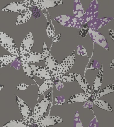 Anna French Spotted Orchid Silver on Charcoal tapéta - Paisley Home