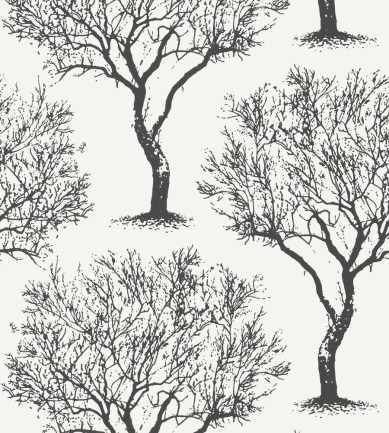Anna French Winfell Forest Black and White tapéta - Paisley Home