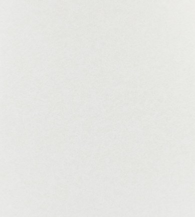Anthology Shellac Alabaster tapéta - Paisley Home
