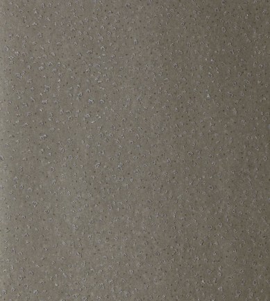 Anthology Foxy Sulphur tapéta - Paisley Home