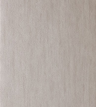 Anthology Igneous Shell tapéta - Paisley Home