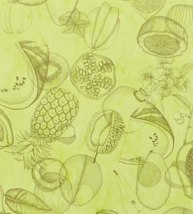 Christian Lacroix Agua Parati Lime tapéta - Paisley Home