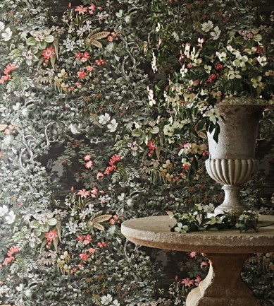 Paisley Home - Cole & Son tapéták teljes választéka