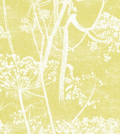 Cole and Son Cow Parsley 66-7051 tapéta - Paisley Home