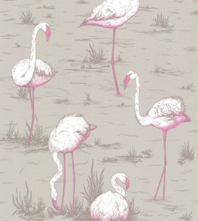 Cole and Son Flamingos 66-6042 tapéta - Paisley Home