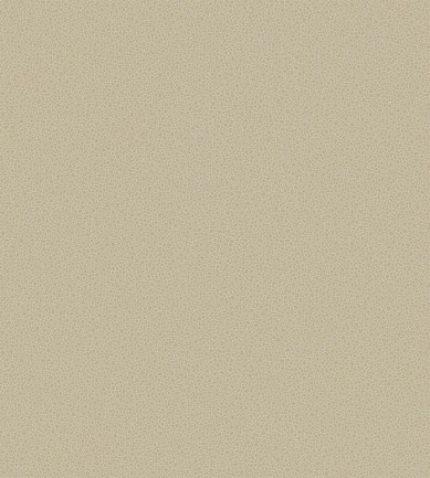 Cole and Son Goldstone 107-9042 tapéta - Paisley Home