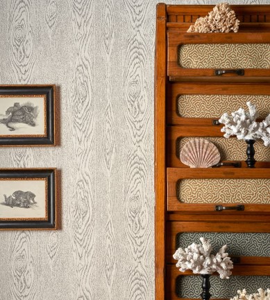 Cole and Son Wood Grain 107-10048 tapéta - Paisley Home