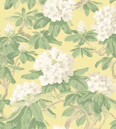 Cole and Son Bourlie 99-4021 tapéta - Paisley Home