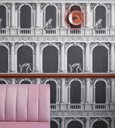 Paisley Home - Cole and Son tapéták teljes választéka