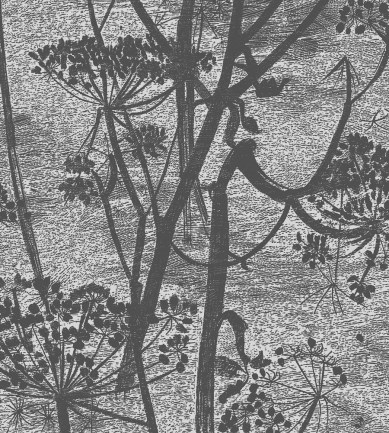 Cole and Son Cow Parsley 112-8026 tapéta - Paisley Home