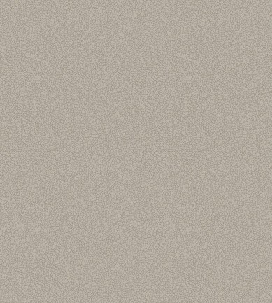 Cole and Son Pebble 106-2016 tapéta - Paisley Home