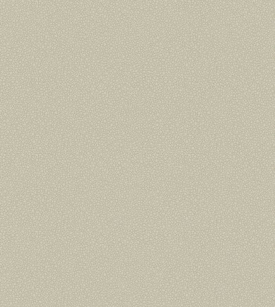 Cole and Son Pebble 106-2019 tapéta - Paisley Home