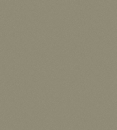 Cole and Son Pebble 106-2020 tapéta - Paisley Home