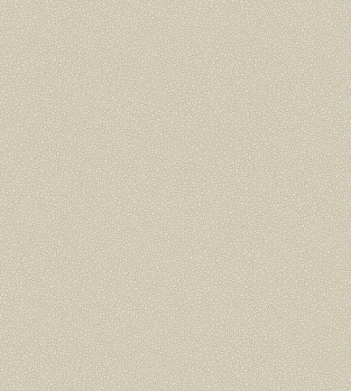 Cole and Son Pebble 106-2022 tapéta - Paisley Home