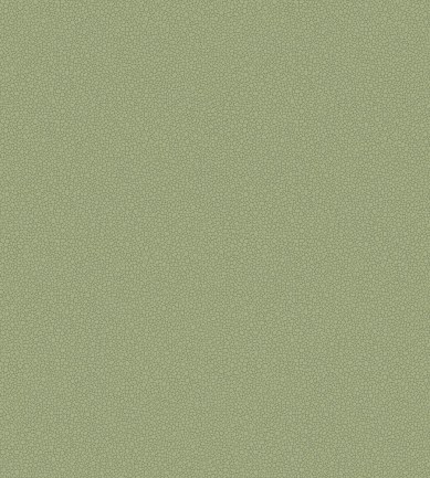 Cole and Son Pebble 106-2026 tapéta - Paisley Home