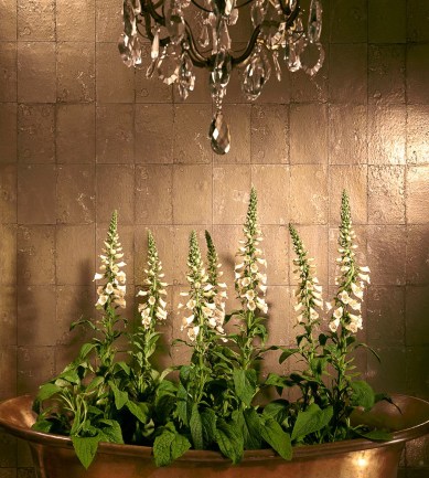 Cole and Son Antique Mirror 92-2010 tapéta - Paisley Home