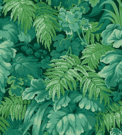 Cole & Son Royal Fernery Forest Green tapéta - Paisley Home