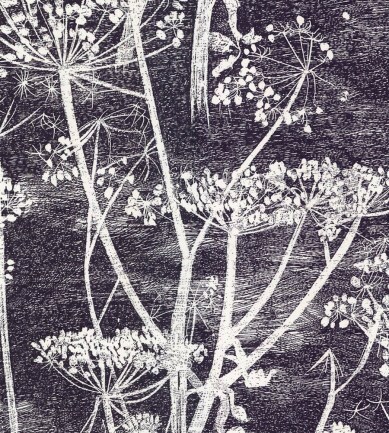 Cole and Son Cow Parsley 66-7046 tapéta