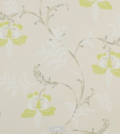 Colefax and Fowler Bellflower Lime tapéta - Paisley Home