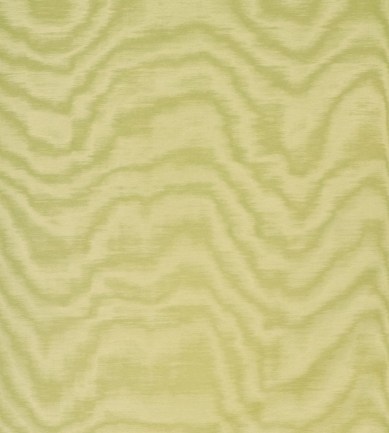 Dedar Amoir Fou Wall 18 Anice luxus tapéta