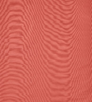 Dedar Amoir Fou Wall 22 Corallo luxus tapéta