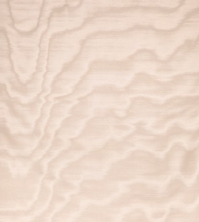 Dedar Amoir Fou Wall 28 Petale luxus tapéta