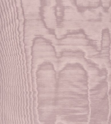 Dedar Amoir Fou Wall 29 Parme luxus tapéta