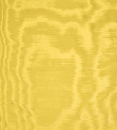 Dedar Amoir Fou Wall 31 Cedrat luxus tapéta