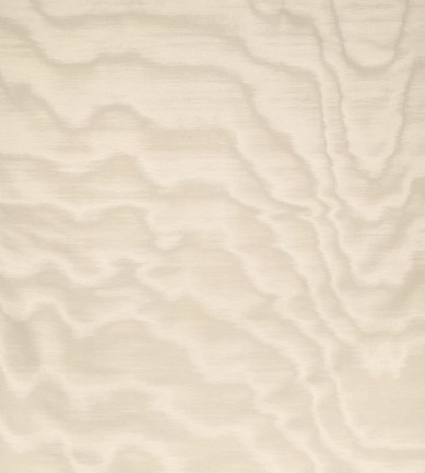 Dedar Amoir Fou Wall 4 Mastice luxus tapéta