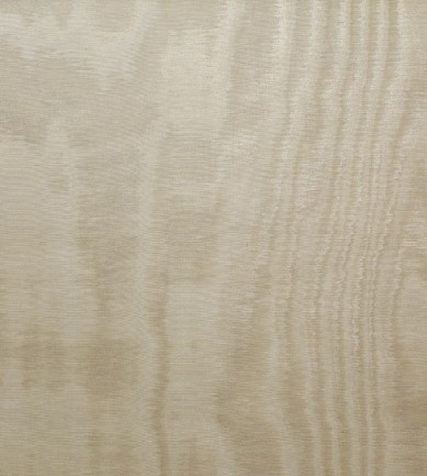 Dedar Amoir Libre 15 Poudre luxus tapéta