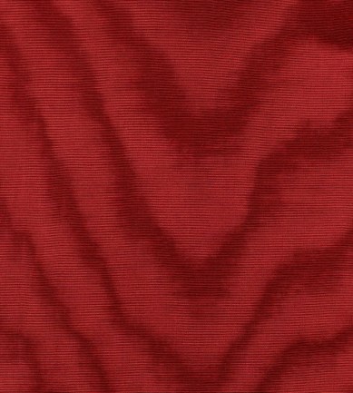 Dedar Amoir Libre Wp 005 Papavero luxus tapéta