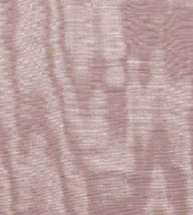 Dedar Amoir Libre Wp 012 Rose The luxus tapéta