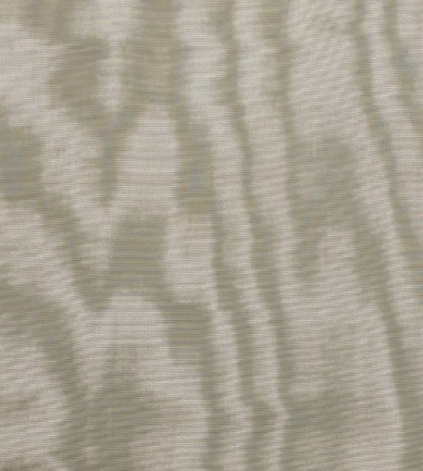 Dedar Amoir Libre Wp 027 Salvia luxus tapéta