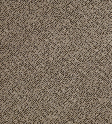 Dedar Sottosopra 104 Conchiglia/Carbonio luxus textil