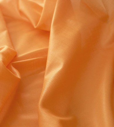 Delius Desiree Chintz 2161 textil - Paisley Home