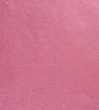 Designers Guild Ernani Schiaparelli tapéta - Paisley Home