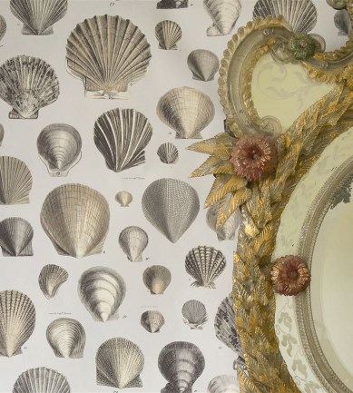 Paisley Home - Designers Guild tapéták teljes választéka