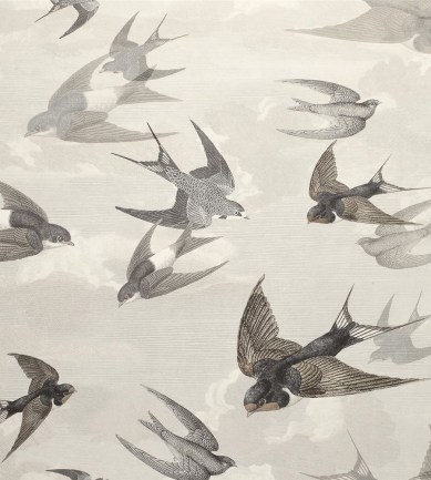 Designers Guild Chimney Swallows Dusk tapéta