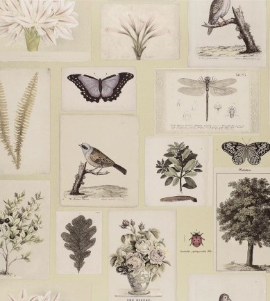 Designers Guild Flora And Fauna Canvas tapéta
