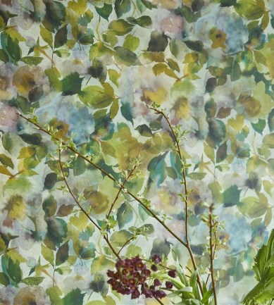Paisley Home - Designers Guild tapéták teljes választéka
