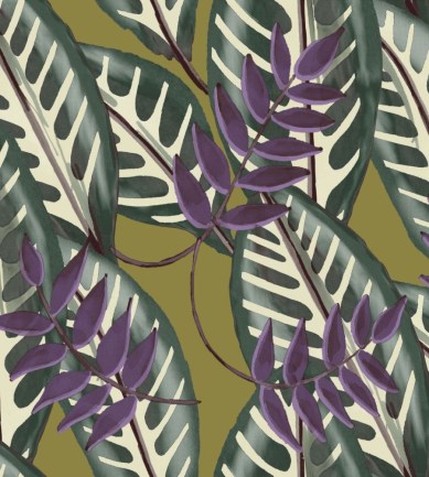 Elitis Alocasia TP30202 tapéta