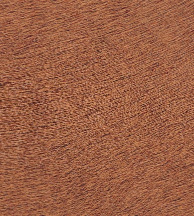 Elitis Movida VP62542 tapéta - Paisley Home