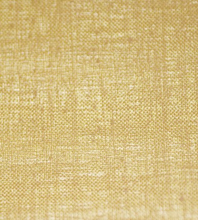 Elitis Cristal RM60597 tapéta - Paisley Home