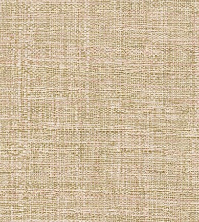 Elitis Madagascar VP63135 tapéta - Paisley Home