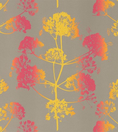 Harlequin Angeliki 111402 tapéta - Paisley Home