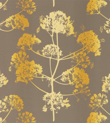 Harlequin Angeliki 111403 tapéta - Paisley Home