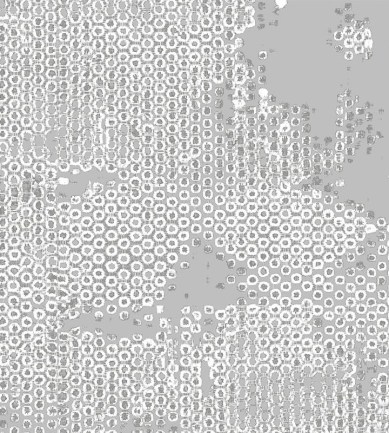 Hooked on Walls Underwater 70042 tapéta